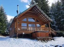 Mountain View Cabin, Hot Tub at White Pass, Mt Rainier National Park, ξενοδοχείο σε Packwood