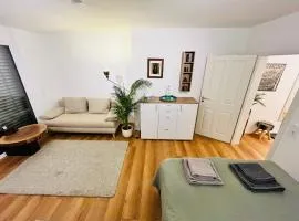 Apartment LEO