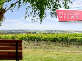 Willunga House - Fireplace Vineyard Views