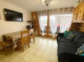 Studio 4 pers, au pied du télécabine, animaux et WIFI - FR-1-815-98