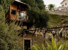 Boskenvid Hotel Boutique, Skypool, hotell i Valle de Guadalupe