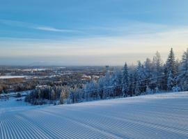 Outdoor Hostel Laajis, хостел в городе Йювяскюля