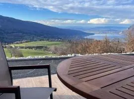 Magnifique Suite Takapuna 4/6p vue lac & montagne