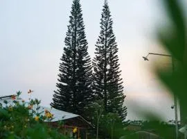 Thông Vi Vu Glamping