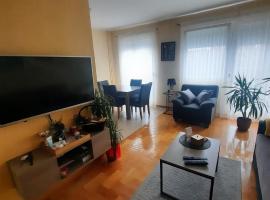 Apartman JOVANA, apartment in Dušanovac (historical)