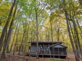 Autumn Wings - Propane Grill, Wifi, Kid Friendly, King Bed, Games, Screen Porch, Pool Access, Hiking, hotel in Berkeley Springs