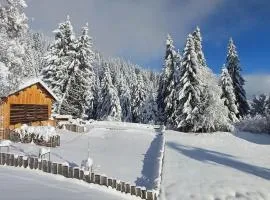 Comfortable apartment near the ski station with parking