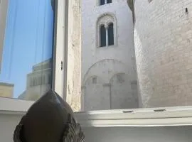 Bari LandLord 8 - Una Finestra sulla Cattedrale