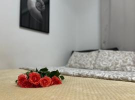 Parkcity Bogucice Karoliny