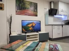 www Goyahospitales es