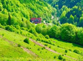 Cabana Izvoarele Doftanei, hotel v destinaci Trăisteni