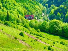 Cabana Izvoarele Doftanei, hotel em Trăisteni