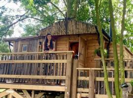 Tree House, luxury tent in Thirsk