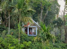 Dhanagiri Home Stay, хотел в Витири