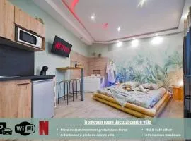 Tropicoon Room jacuzzi centre ville parking free