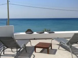 Il Giglio di mare