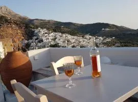 1875 panoramic stone house