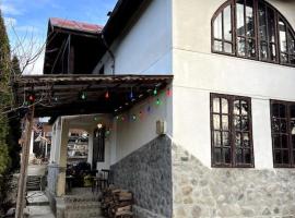 Cabană la Munte - Petreceri, villa in Pănătău
