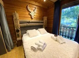 LE RENNE Chalet en bois au calme avec SPA Jacuzzi