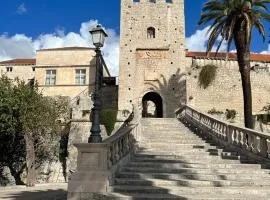 City Center Pelavin Mir