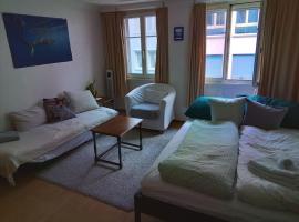 tiny flat – hotel w mieście St. Gallen