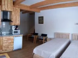 S Neries 19 apartamentai su parkingu