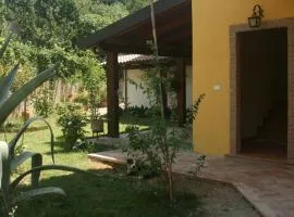 B&B del Castagneto