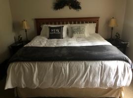 Plush garden level apartment near Stowe, hotel with parking in Morristown