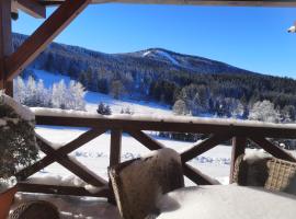 Wichrowe Wzgorze, hotel cerca de Proca Ski Lift, Stronie Śląskie