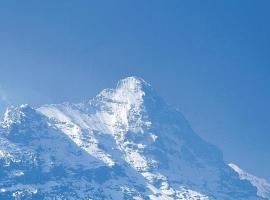 Tournelle 8 Bett Wohnung - b48643, hotell i Grindelwald