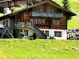 Neu eingerichtete Ferienwohnung im Haslital - b48815 – hotel w mieście Innertkirchen