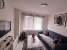 Apartman MiSSS