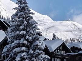 Imhof Alpine B&B Apartments, B&B i Bettmeralp