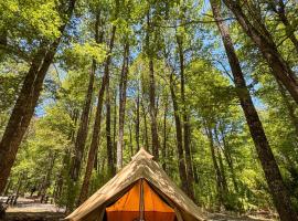 Casa del Árbol - Camping, glampingplads i Malalcahuello