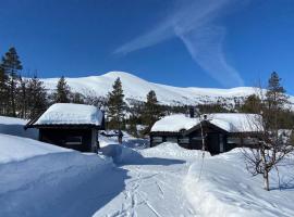 Hito - cabin between Flå and Eggedal, hotell på Flå