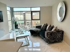 Superior Apartment In Cardiff City Centre