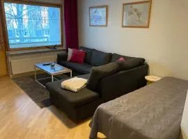 RovaniemiApartment 2 bedroom, livingroom, sauna