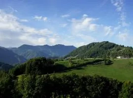 Brettmaisserhof