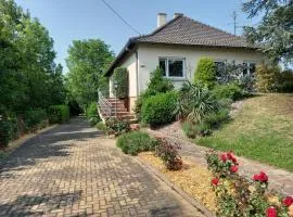 Maison proche du centre de Colmar - Chez Michel