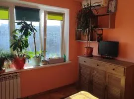 One room in apartment in the park center area of Chisinau