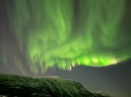 Malangen Arctic Sealodge Cabin 10、Meistervikのホテル