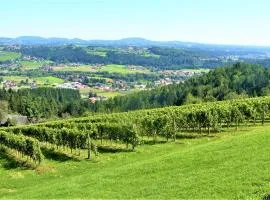 Genuss Appartement am Familien Weingut