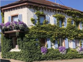 Cozy holiday apartment in the winery, hotel with parking in Oberrotweil