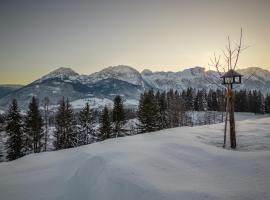Radochsbergloft, allotjament d'esquí a Abtenau