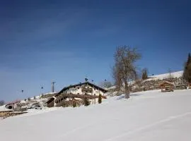 Lohningbauer