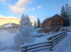 Alpen Apartments Salzburg, hotel with parking in Lessach