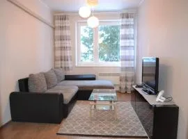 Erra Puiestee Apartment
