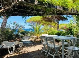 Appartement 23P LUMIO