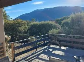 La Cigale du Pas du Ventoux en Provence