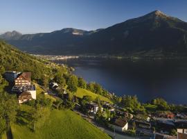 Zentrum Elisabeth - convalescent hotel, Kurhotel, hotel v destinaci Walchwil